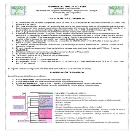 Resumen del phylum rotifera