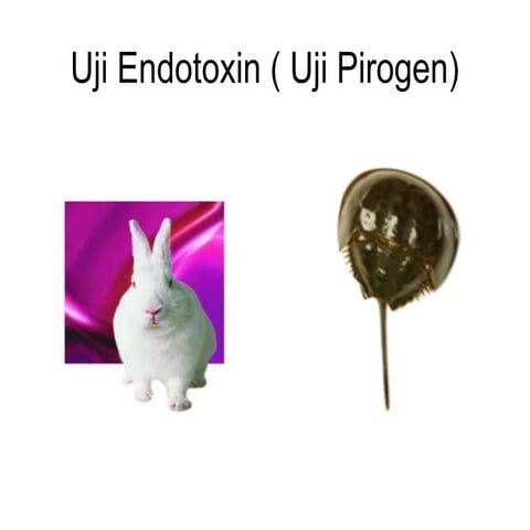UJI PIROGEN (LAL) dalam produksi sediaan steril | PPT