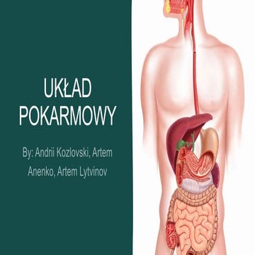 Sprawdzian Biologia Klasa 7 Ukła Pokarmowy Uklad pokarmowy 7-c.pptx