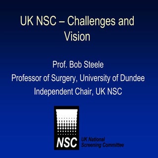 UK NSC challenges and vision