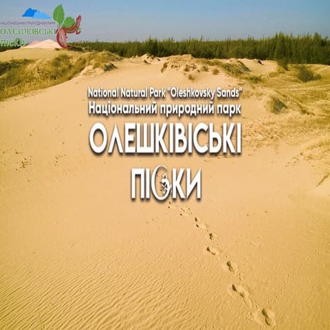 Ukrainian national park Oleshkivsky Sands (Herson oblast) invites 12.11 ...