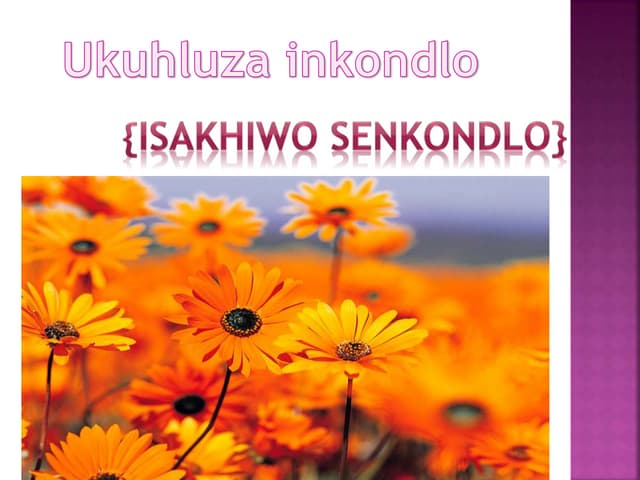 Izinkondlo1(2) | PPTX