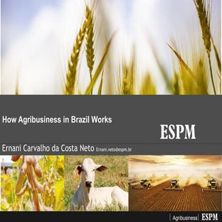 UKTI Brazil Webinar - How Agribusin...