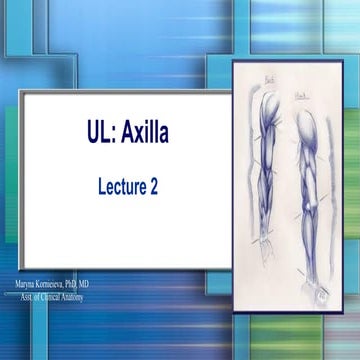 Axilla anatomy | PPTX