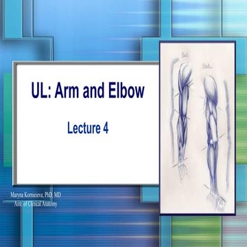 Arm and Elbow