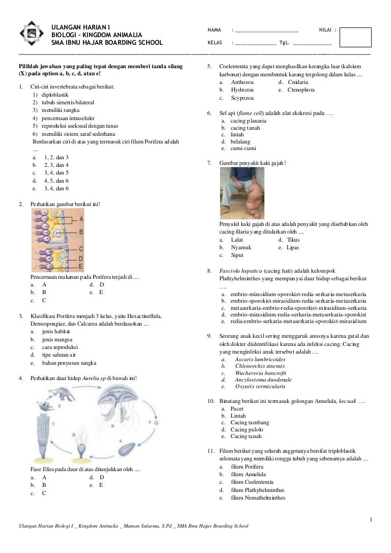 Ulangan Harian Biologi Kingdom Animalia X Semester 2