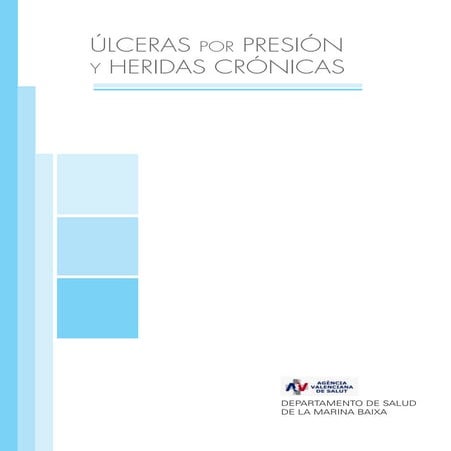 Ulceras por presion y heridas cronicas