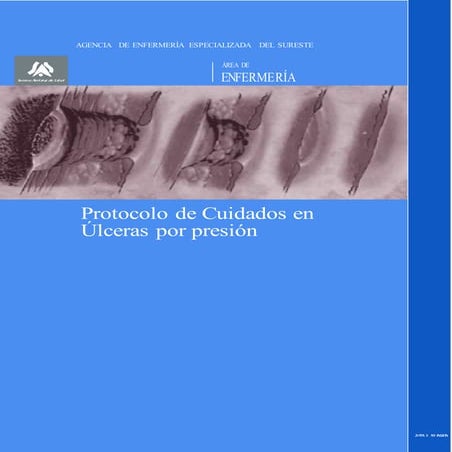 Ulceras presion agencia de enfermeria especializada del sureste  