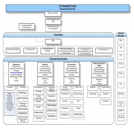Planning-hospitals-of-the-future- | PDF