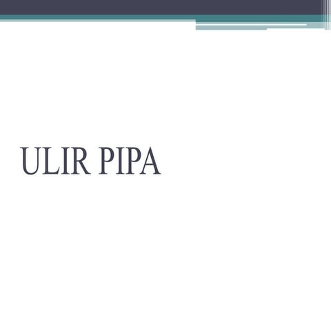 Ulir Pipa