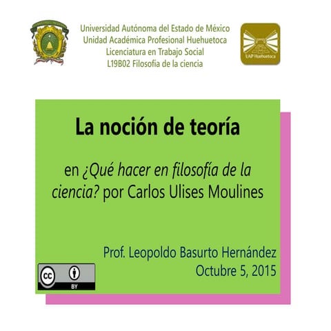 La noción de teoría en ¿Qué hacer en filosofía de la ciencia?, de