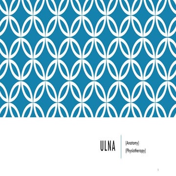 Anatomy of the Ulna: A Detailed Overview for Physiotherapy and Medical Students