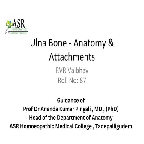 Ulna_Bone_Presentation.pptx_20250326_140353_0000.pdf