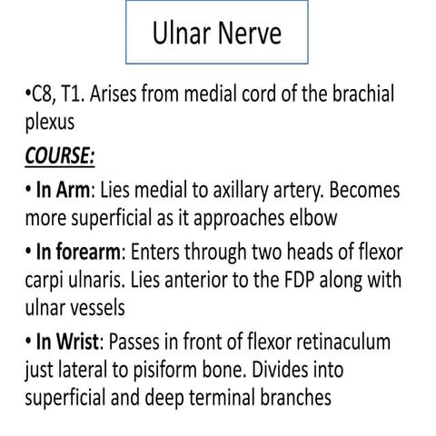 Ulnar, Accessory, Axillar, Long thoracic nerve.pptx