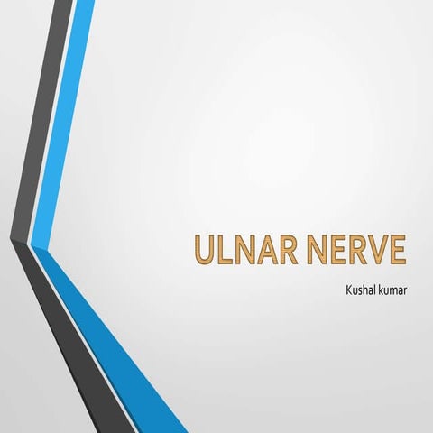 Ulnar Nerve and clinical features 
