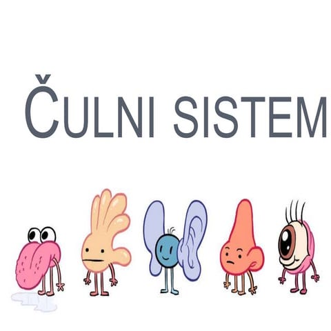 Čulni sistem