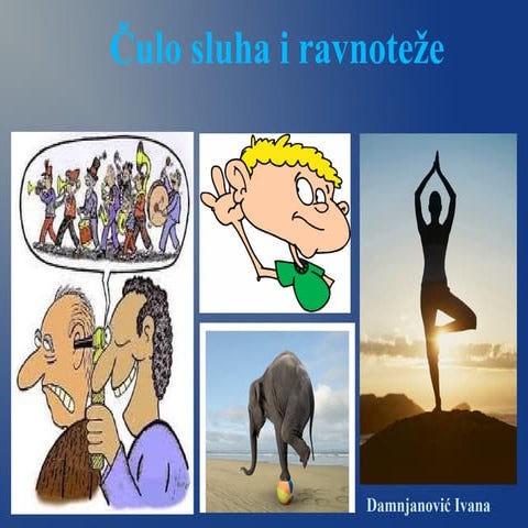 Čulo sluha i ravnoteže