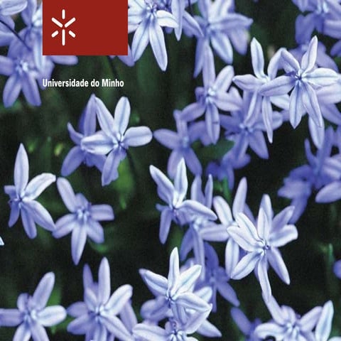 O Modelo Social Europeu na nova realidade Europeia e os Desafios da Estratégi...