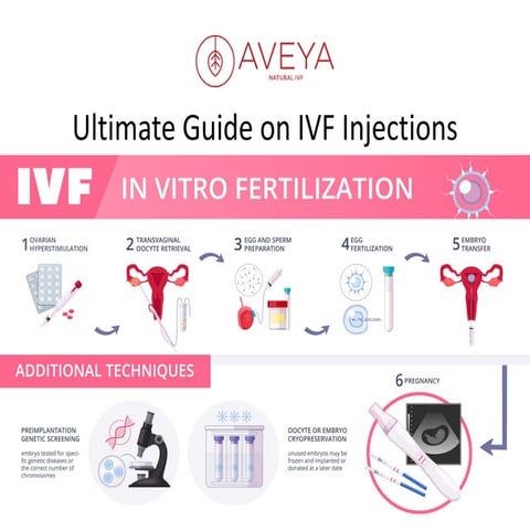 Single Embryo Transfer (SET) vs. Multiple Embryo Transfer Risks and ...