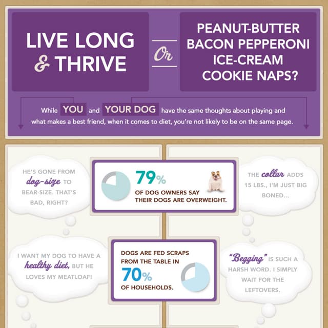 Nutro: Owner vs. Dog