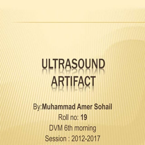 Ultrasound Artifact