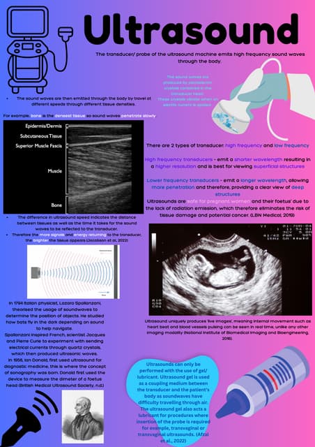 Ultrasound Factsheet.pdf