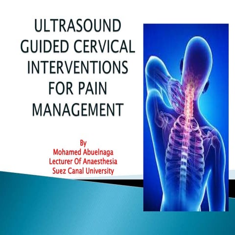 Ultrasound guided cervical interventions for pain management