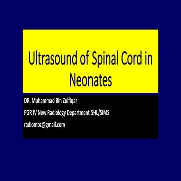 Ultrasound of spinal cord in neonates Dr. Muhammad Bin Zulfiqar