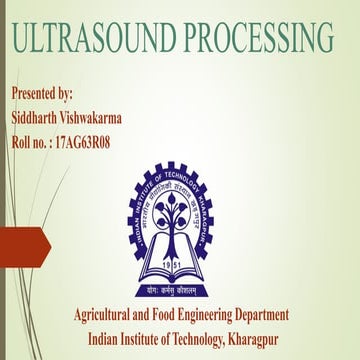 Ultrasound processing