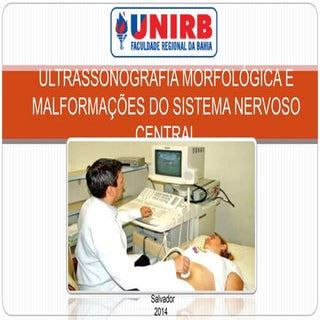 Ultrassonografia morfológica e malf...