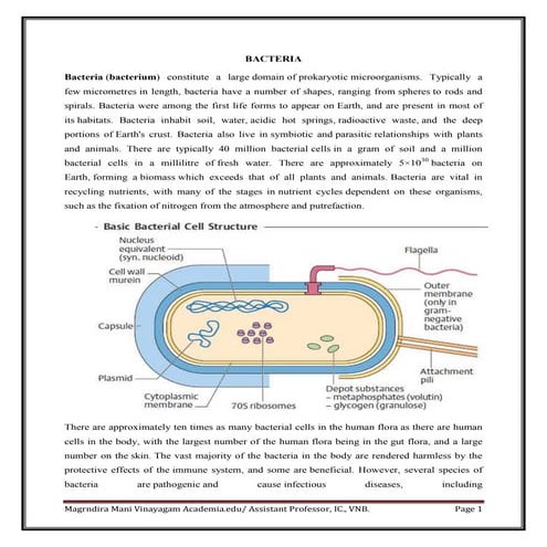 Ultra_structure_of_Bacteria in 1 unit of botany