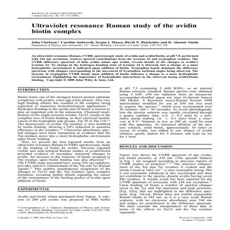 Ultraviolet resonance raman study of the avidin biotin complex