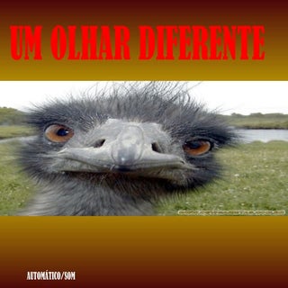 Um olhar diferente