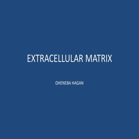 Extracellular matrix