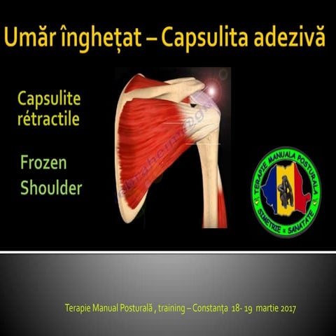 Umar inghetat  ppt 2017