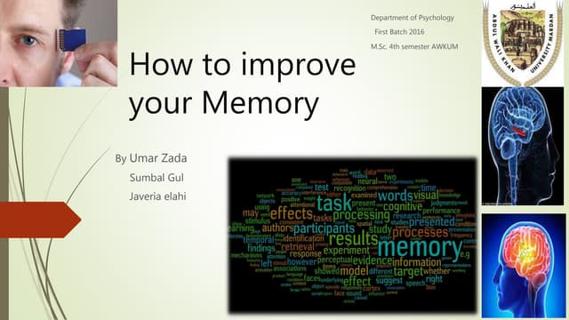 How to improve your memory