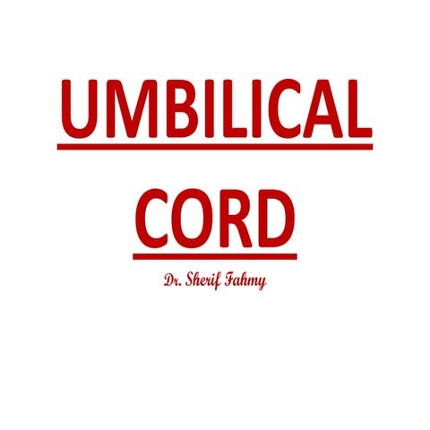 Umbilical Cord (General Embryology)