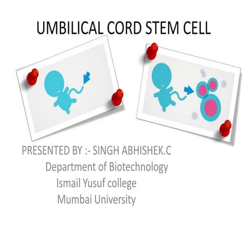 Umbilical cord stem cell | PPTX