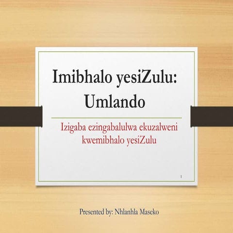 Eminye yemizamo eyenziwayo ukuthuthukisa ulimi lwesizulu | DOCX