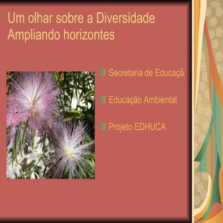 Um olhar sobre a diversidade amplia...