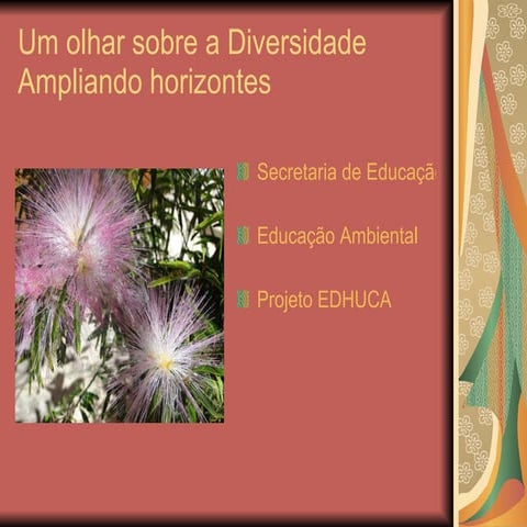 Um olhar sobre a diversidade ampliando horizontes