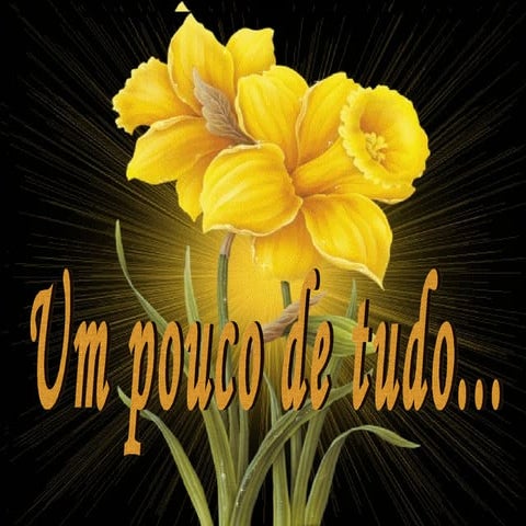 Um pouco de tudo (procurando autoria)