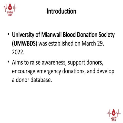 UMWBDS_ jfjf tfutf yuftf fPresentation.pptx