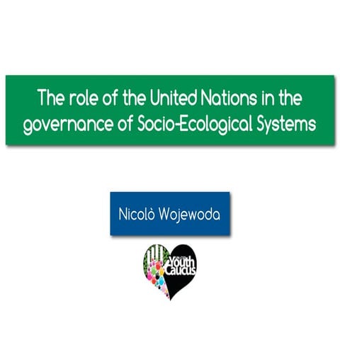 The role of the United Nations in the governance of Socio-Ecological Systems