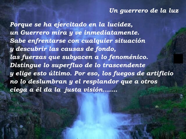 Manual del guerrero de la luz