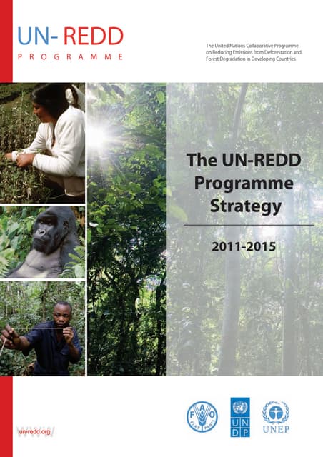 UN Redd Programme 2011-2015 Strategy - English