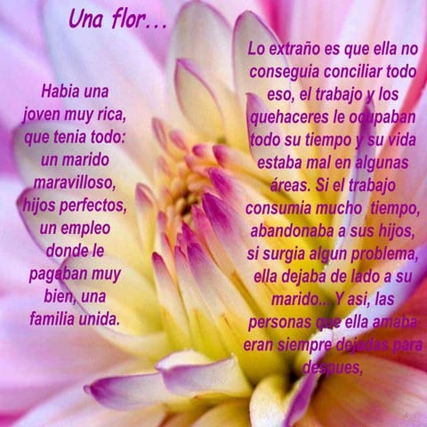 Una flor