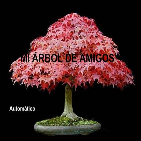 EL ÁRBOL DE MIS AMIGOS
