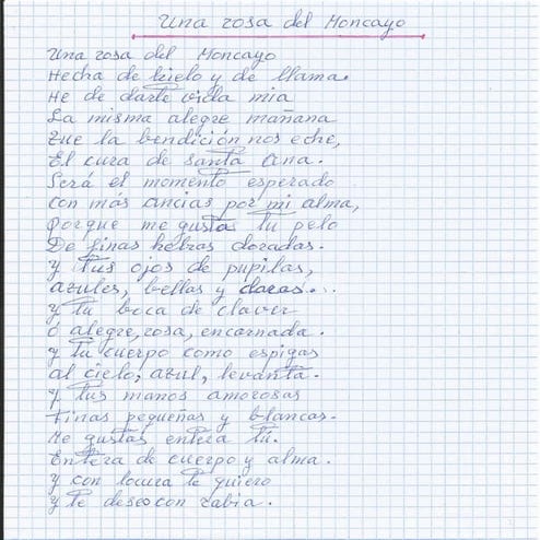 Una rosa del moncayo