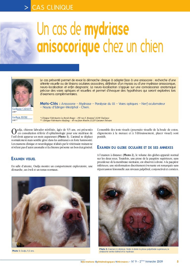 Un Cas De Mydriase Anisocorique Chez Un Chien Cazalot Iovs 09
